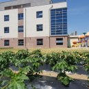 리리유치원 이미지