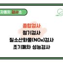 그린1급종합검사정비 이미지