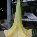 세련농장 이미지