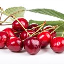 백운헬스 이미지