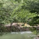 산골산장 | 전북 완주군 동상면 수만길 305 산골산장 방문 후기