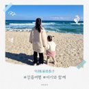 맛짱김밥삼양점 | 겨울 아기랑 갈만한 곳 강릉여행 떠나요
