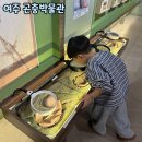 여주박물관화장실 | 곤충 좋아하는 아이랑 가기 좋은 곳/ 여주 곤충박물관