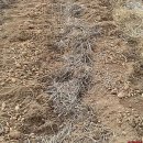 해품은농장 이미지