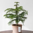 삼거리손세차장 | 데일리 연애 주간