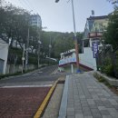 배산의 희망나무 | 봄 등산복 코디 샤가 나비붓꽃 광안대교뷰 애벌레까지 구경하고 온 부산에서 낮은산 배산 트래킹 후기