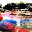 (주)카노 이미지