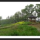 보통리 저수지 1 이미지