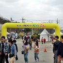 제24회 이천 백사 산수유 꽃 축제 이미지