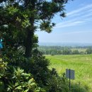 올레길안내소 이미지