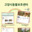 고양시 동물보호센터 이미지