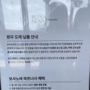 루이테라스(보사노바커피로스터스)