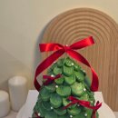 진도제과 이미지