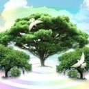 하늘문화센터 이미지