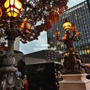 제주영상여행사 | [제주] 메종글래드제주 크리스마스 행사 메리 글래드 마스 후기