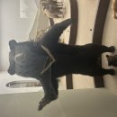 인천 국립생물자원관 이미지