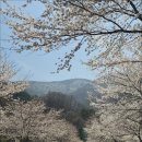 상록수회관 이미지