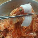 본가밀면 네이버블로그