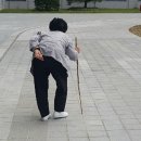 경상북도청 네이버블로그