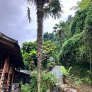 에콜로지 | 베트남 사파 숙소_락식에콜로지_Laxsik Ecolodge