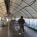 고성 탑 글램핑 농원 이미지