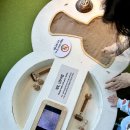 국립광주박물관 | 광주 아이랑 가볼만한 곳｜국립광주박물관 어린이박물관 예약 꿀팁 + 유아놀이터 후기