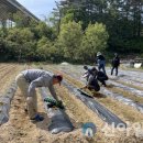 손양면사무소 이미지