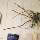 곤지암읍 곤지암리 543 이미지