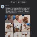 가치있개 이미지