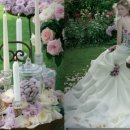 에이메드 이미지