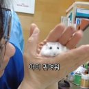 스테이 인가 이미지