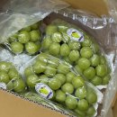 애니오토 수원점 | 그대가 앉아 있는 배경에서 해가 지고 바람이 부는 일처럼 사소한 일일 것이나