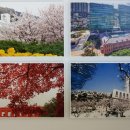 동아대학교 산업정보대학원 이미지