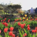 통영바다정원 이미지