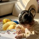 척편한웰빙 | 대신오토캠핑장에서 2박3일, 사이트 80번