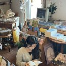 곰아저씨애견샵 네이버블로그