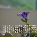 도리도리 이미지