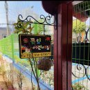 꽃잎어린이집 이미지