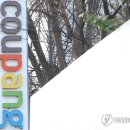 돌팡