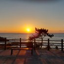 펜션 바다의 꿈 이미지