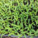 팔봉농원 이미지