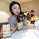 우리동네펫 이미지