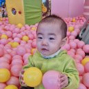 아틀란디스퍼플키즈카페 이미지