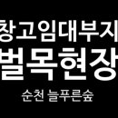 주식회사숲나무 이미지