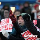 제주박 이미지