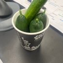 데브드래곤 | (25.06.16~06.29) 일상.zip