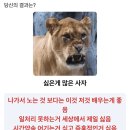 꽁시면관 명동본점