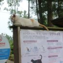 김녕관광지 이미지