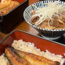 세끼모토