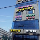 천도수산영희네